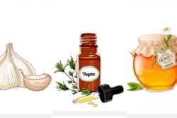 3 loại 'kháng sinh' hiệu quả trong tự nhiên