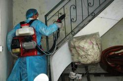 Hà Nội: 30/30 quận huyện có người mắc sốt xuất huyết