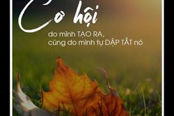 Xin đừng đóng cửa