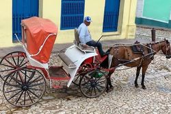 Nghe tiếng vó ngựa lóc cóc trên con đường đá cuội ở Cuba
