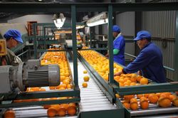 AfDB cảnh báo những nguy cơ đe dọa tăng trưởng kinh tế châu Phi
