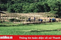 Sa Ná gượng dậy sau trận lũ kinh hoàng