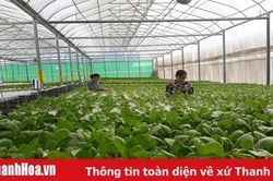 Công nhận huyện Đông Sơn đạt chuẩn nông thôn mới