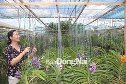 Đồng Nai hoàn thành mục tiêu xây dựng nông thôn mới