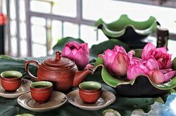 Trà sen và 9 công dụng bất ngờ