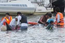Cá voi hoa tiêu mang thai chết tại vịnh Vĩnh Hy nghi do ngộ độc rác thải