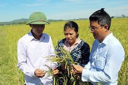 Chủ động ứng phó lũ quét, sạt lở đất