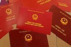 Trưởng phòng tài nguyên và môi trường bị cho thôi việc vì dùng bằng dởm