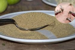 Trứng muỗi chưa nở, người Mexico biến tấu thành đặc sản 'có một không hai'