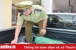 Bắt giữ 260 kg thịt lợn không có giấy tờ chứng minh nguồn gốc xuất xứ