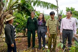 Khi tín dụng chính sách không còn là 'vốn mồi'… (Bài cuối)