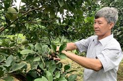 Sáng ngời phẩm chất 'Bộ đội Cụ Hồ'