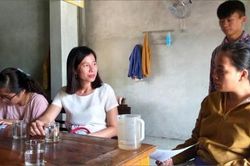 Chính trị - Xã hội Theo dòng thời sự Ồ ạt chặt cây trầm gió bán cho thương lái