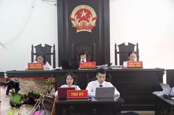 Ba mẹ con vướng vòng lao lý vì chiếc đồng hồ nước ở Hà Nội: Bị cáo lĩnh án cao nhất 6 tháng tù giam