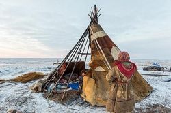 Khám phá cuộc sống đời thường của bộ lạc Nenets tại nơi 'tận cùng thế giới'
