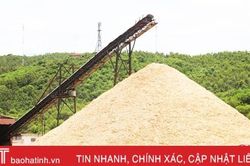 Thuế suất về 0%, doanh nghiệp xuất khẩu dăm gỗ Hà Tĩnh vẫn khốn khó