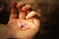 Phật dạy đây sẽ là người có phúc báo tốt, dễ gặp quý nhân và 5 việc làm cần tránh trong đời
