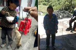 Bé trai bị ông nội dùng xích chó xích lại và lý do gây tranh cãi phía sau