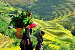 Lào Cai phát triển mạnh ngành dịch vụ, du lịch