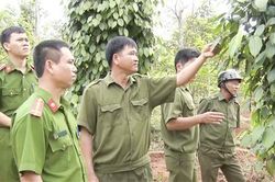 Vĩnh Linh giữ vững quốc phòng - an ninh trong mọi tình huống