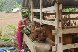 Ngày mới ở Phương Giao