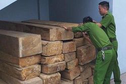 Phát hiện xe tải chở gỗ không rõ nguồn gốc ra Hà Tĩnh tiêu thụ