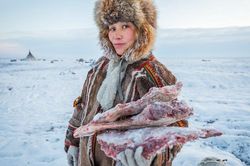 Bộ lạc du mục Siberia giữa cánh đồng băng giá khổng lồ
