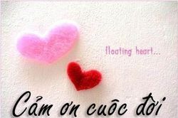 Một ngày mới bắt đầu và tôi muốn nói 'Cảm ơn cuộc đời'