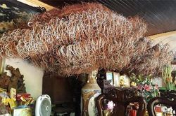 Dân mạng trầm trồ kinh ngạc với bát hương đầy ụ chân nhang, cao đụng nóc nhà của một gia đình tại Phú Thọ