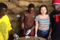 Sau vụ thu mua lịch sử của T&T Group, thị trường điều Việt Nam được gì?