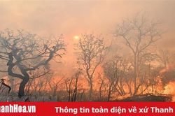 Tổng thống Brazil: Cháy rừng Amazon là 'vấn đề nội bộ' của khu vực