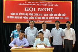 Vụ đông năm 2019 đặt mục tiêu trồng 10.000 ha cây trồng các loại