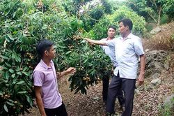 Cựu chiến binh làm giàu từ mô hình kinh tế tổng hợp
