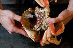 Dân sành ăn mách cách tách vỏ cua sang chảnh, không sót thịt