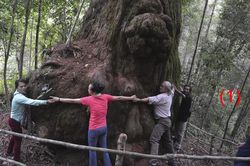 Tây Giang – điểm hẹn quyến rũ