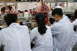 30 học viên Cao đẳng Y Dược ASEAN xin rút hồ sơ