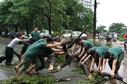 Mưa to, gió giật như bão, cây gãy đổ đè ô tô ở KĐT Linh Đàm