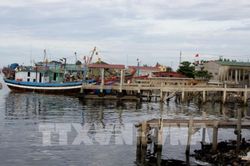 Bất cập hạ tầng nghề cá ở Quảng Bình