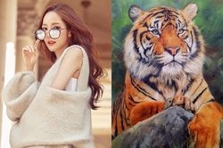 Top 3 con giáp hỷ lộc hỷ tình, viên mãn đố ai bì kịp