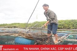 Thạch Sơn đưa cá nuôi lồng bè thành sản phẩm OCOP