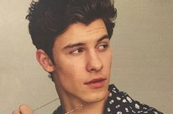 Shawn Mendes bất ngờ bị cộng đồng mạng ném đá vì có hành động kì thị LGBT