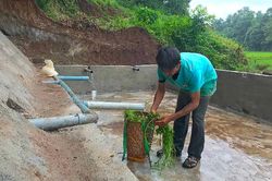Niềm vui bên giọt nước làng Ktu