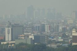 Indonesian minister confirms location of new capital
