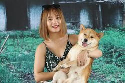 Chú chó Nhật được chọn đóng phim 'Cậu Vàng' có gì đặc biệt?