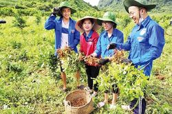 Lan tỏa tinh thần tình nguyện