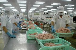 Xuất khẩu nông sản sang Trung Quốc: Gặp khó khăn kép