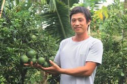 Ông chủ 'ốc đảo' ngựa bạch