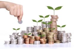 Đúng là con người hơn nhau ở cái đầu