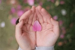 Người ta thường đến với nhau vì những điều to lớn nhưng chia tay vì thứ nhỏ nhặt