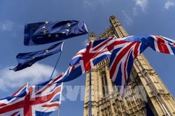 Gần 100 công ty chuyển từ Anh sang Hà Lan để đảm bảo nằm trong EU